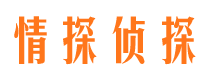 资阳寻人公司